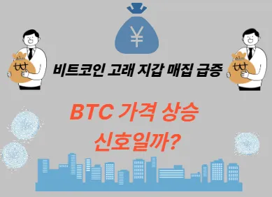 비트코인 고래 지갑 매집 급증, BTC 가격 상승 신호일까?