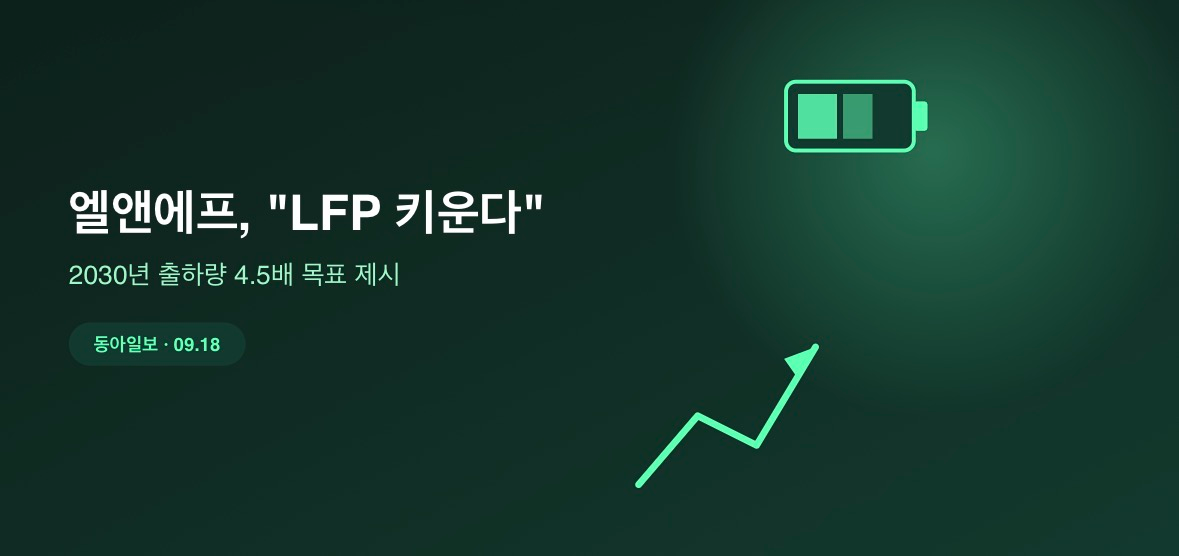 엘앤에프, 