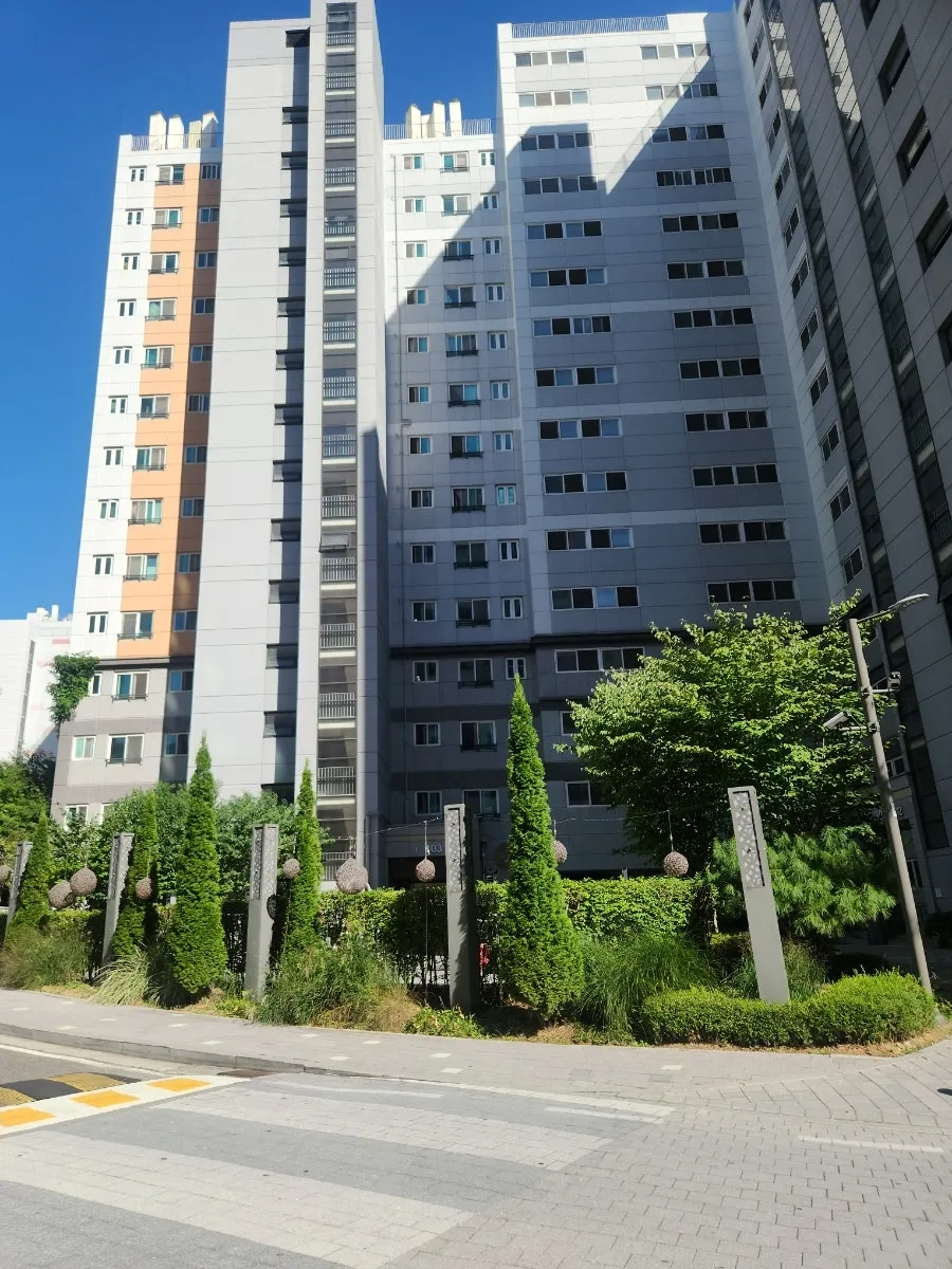 동탄 토허구역 지정, 그런데 전세는 왜 더 올랐나